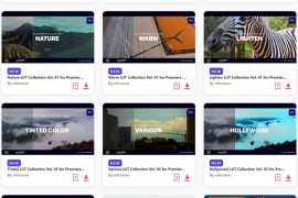 2023.6.2.46.Set.PR.Templates