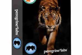 Peregrine Labs Yeti 5.1.8 Maya 2023-2025 Win x64