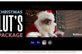 Christmas LUTs - FX Presets Collection 50457599