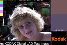 fsorvin Autochrome LUTs