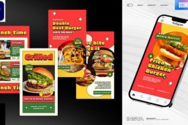 Hamburger Instagram Stories For Premiere Fro 44913817