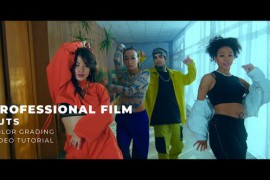 Professional Film LUTs 43649890