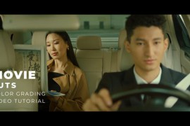 Movie LUTs 43629176