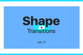 Shape Transitions Vol. 11 45533043