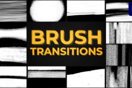 Brush Transitions | Premiere Pro MOGRT 47483284