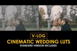 V-Log Cinema Wedding and Standard Color LUTs 51443948