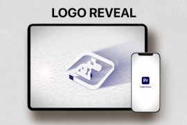 Logo Reveal 45849706
