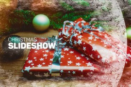 Christmas Slideshow 13991560