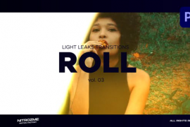 Light Leaks Roll Transitions Vol. 03 for Premiere Pro 46211586