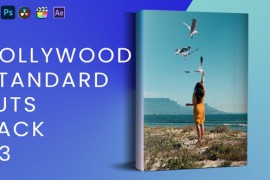 Hollywood Standard Luts Pack V3 42902936