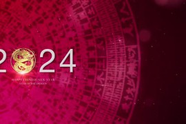 Chinese New Year Background Decoration 48612595