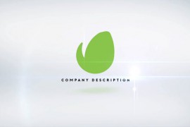 Elegant Logo Reveal 12 Premiere Pro 48934689