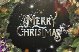 Christmas Logo 41979632