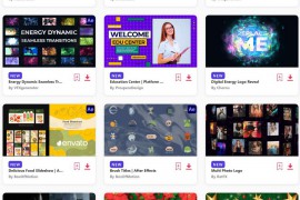 2023.2.8.74.Set.AE.Templates