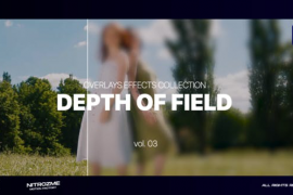 Depth of Field Effects Collection Vol.03 for Premiere Pro 46509864