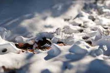 Free Download:SuperhiveMarket – Snow