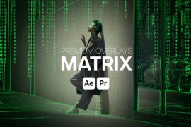 Premium Overlays Matrix 51606153