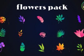 Colorful Flowers Pack for DaVinci Resolve 52077308