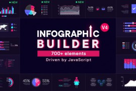 Infographic Builder 24725873