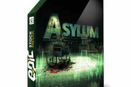 Epic Stock Media Asylum WAV-DISCOVER