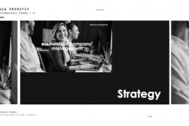 Business Promotion 48590179