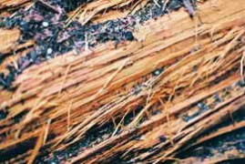 KOAN Sound Sample Giveaway: Foley Pack 02 WAV-FANTASTiC