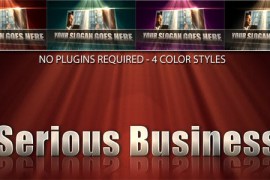 Serious Business 105706