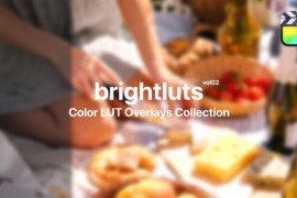 Bright Color Presets for Final Cut Pro Vol. 02 48175708