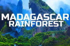 Madagascar Soundscapes Madagascar Rainforest FLAC-FANTASTiC