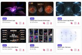 2023.11.10.56.Set.AE.Templates