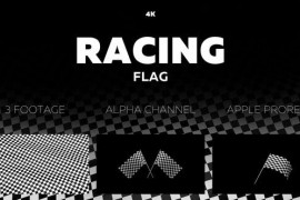 Racing Flag Pack 30280333