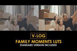 V-Log Family Moments and Standard Color LUTs 51303166