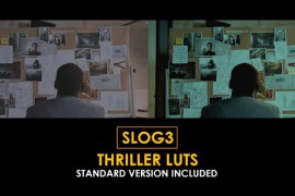 Slog3 Thriller and Standard Color LUTs 50813392