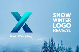 Snow Winter Logo Reveal 42710209