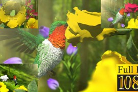 Nature Flowers and Birds 39146976
