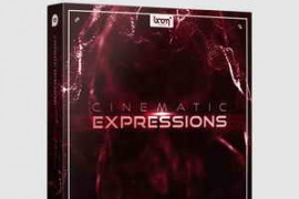 Boom Library Cinematic Expressions Designed WAV