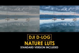 D-Log Nature Color LUTs 50930941