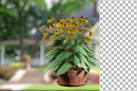 Animated Flowering tree with yellow flowers 51109924
