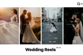 Wedding Reels Vol. 12 49308037