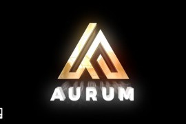 Logo Reveal 52741688