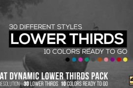 Flat Dynamic Lower Thirds Pack 15305568