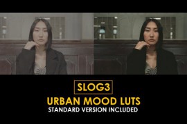 Slog3 Urban Mood and Standard Color LUTs 51105379