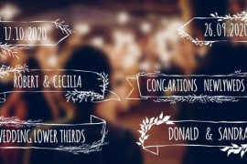 Wedding Lower Thirds 49375829
