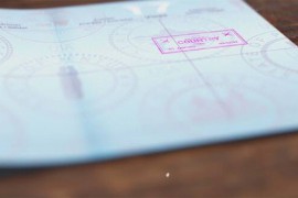 Passport Stamp Logo Animation 51608142