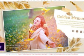 Golden Memories Romantic Slideshow 43948822
