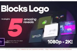 Blocks Logo Reveal Mini Pack 5in1 45808604