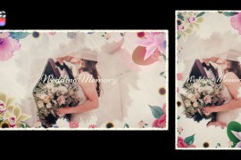 Wedding Memory 50679039