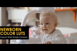 Newborn Color LUTs 48381391
