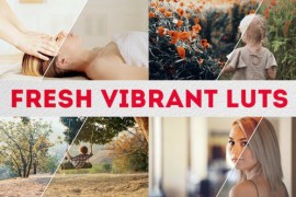Fresh Vibrant LUTs | FCPX & Apple Motion 51721306