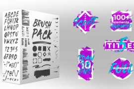 Brush Pack 22634602